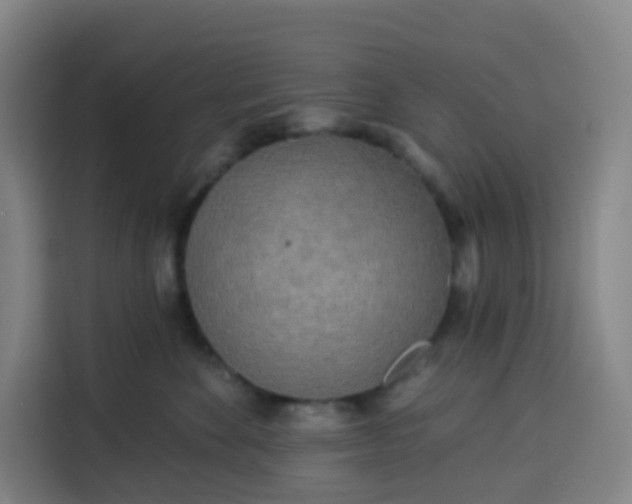 X0000113530524200910021332