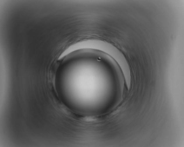 X0000113530528200910021332