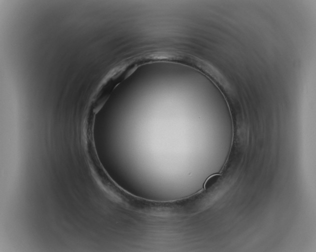 X0000113530530200910021331