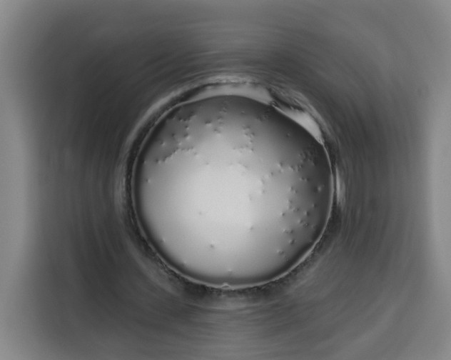 X0000113530531200910021331