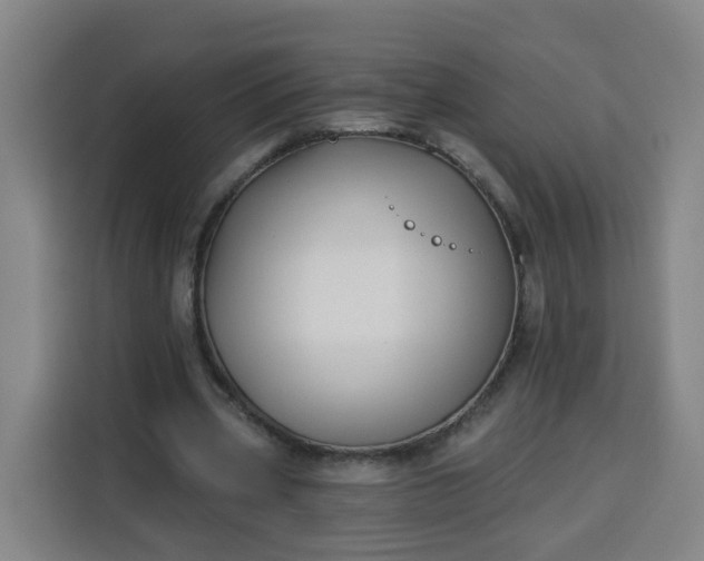 X0000113530533200910021331