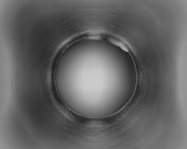 X0000113530535200910021331