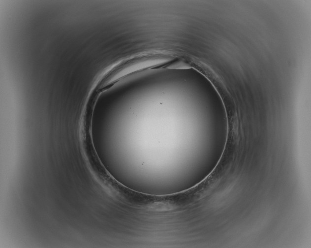 X0000113530536200910021331