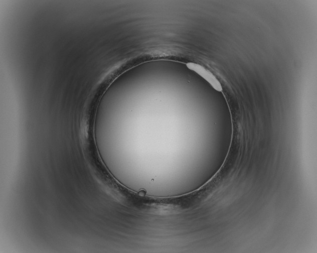 X0000113530539200910021331