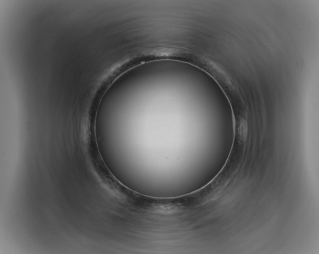 X0000113530540200910021331