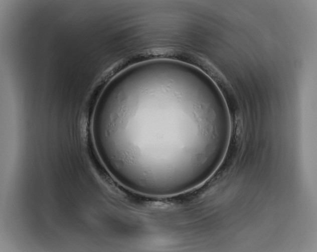 X0000113530542200910021331