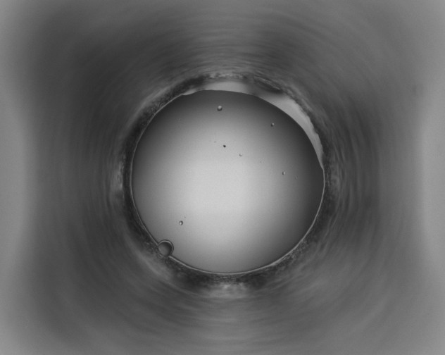 X0000113530543200910021331