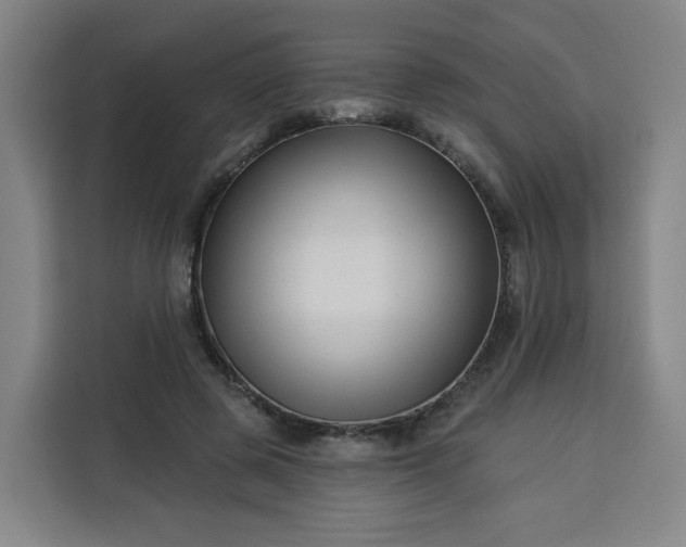 X0000113530545200910021331