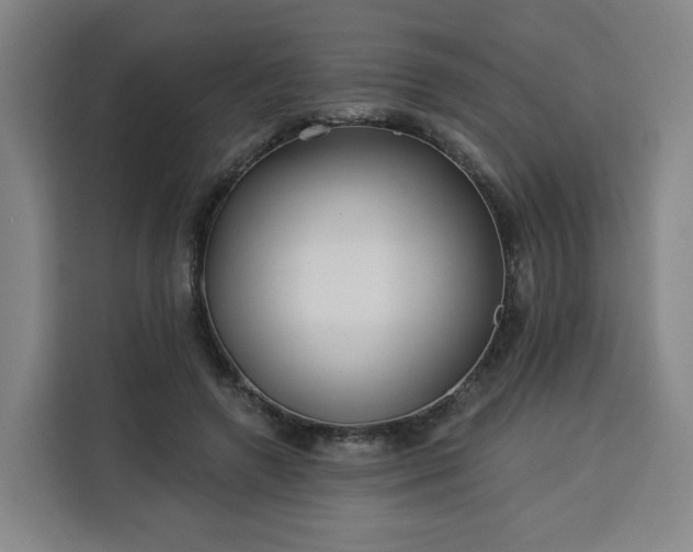 X0000113530546200910021331