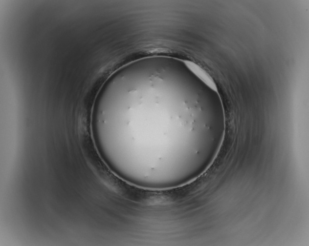 X0000113530547200910021331