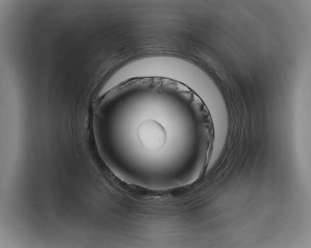 X0000113530548200910021331