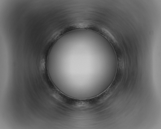 X0000113530549200910021331