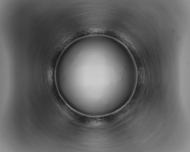 X0000113530550200910021331