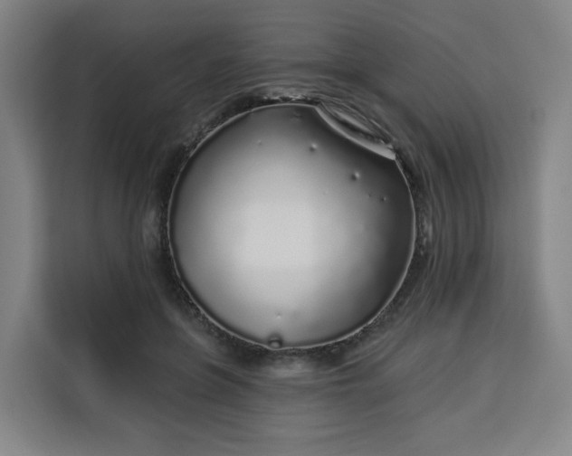 X0000113530551200910021331