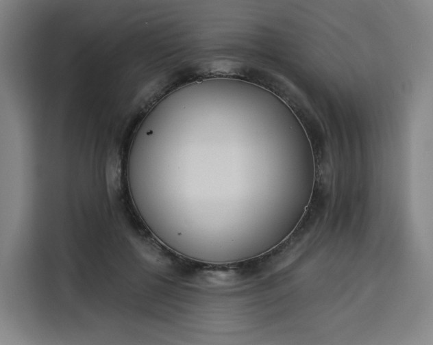 X0000113530552200910021331