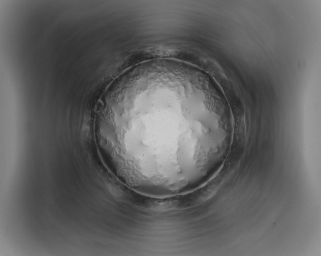 X0000113530553200910021331