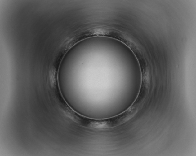 X0000113530554200910021331