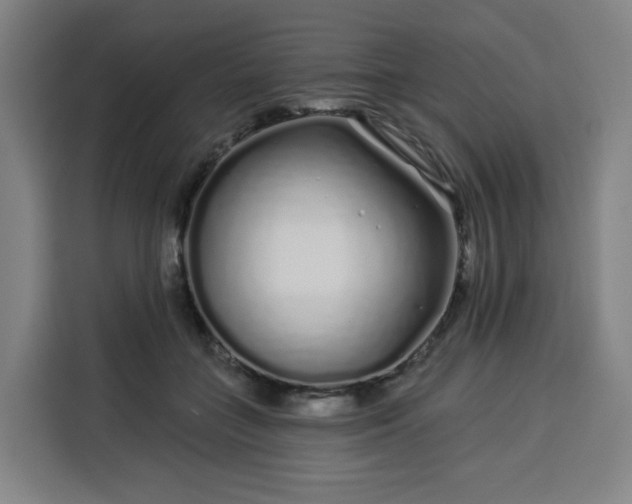 X0000113530555200910021331