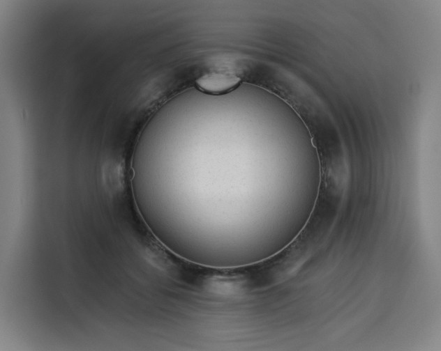 X0000113530556200910021332