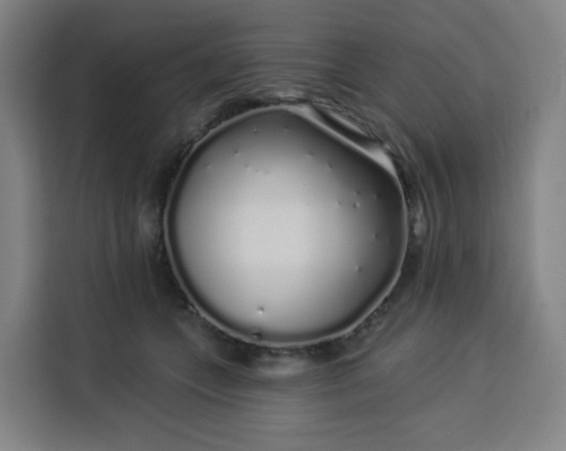 X0000113530559200910021332