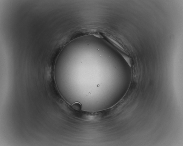 X0000113530563200910021332