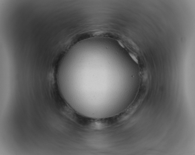 X0000113530565200910021332