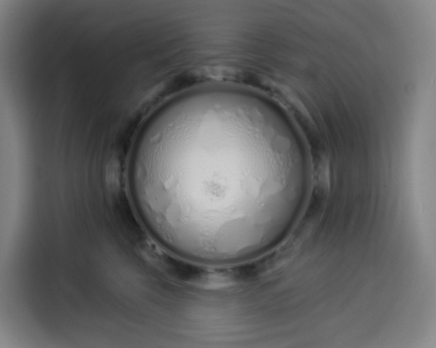 X0000113530569200910021332