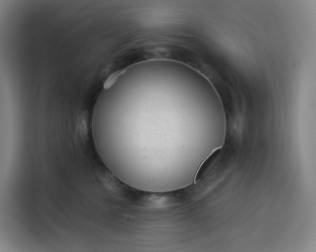 X0000113530570200910021332