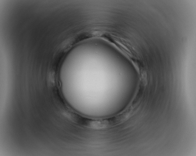 X0000113530571200910021332