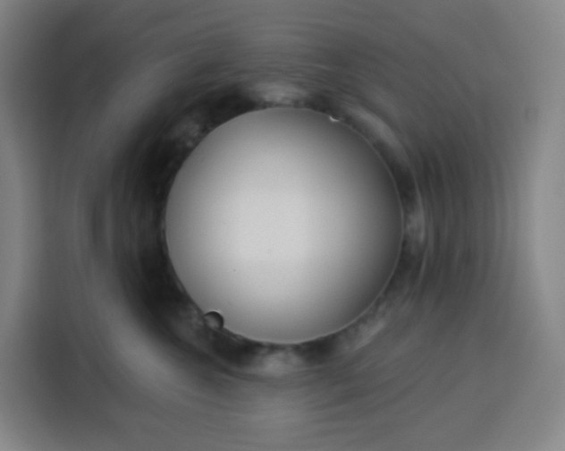 X0000113530572200910021332