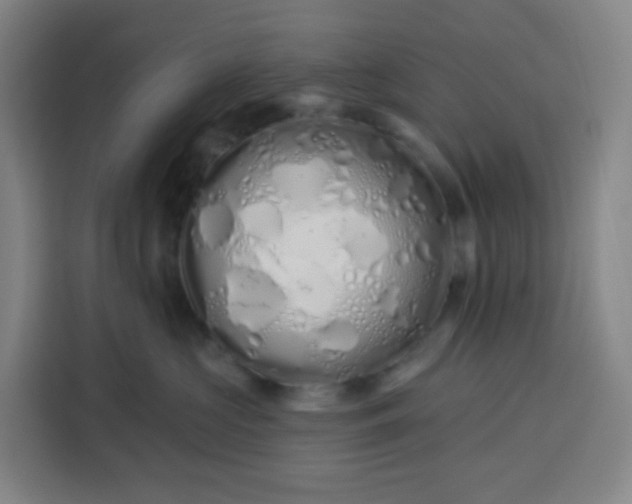 X0000113530573200910021332