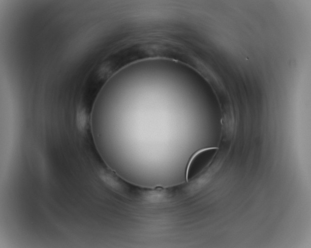 X0000113530574200910021332