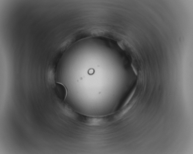 X0000113530575200910021332