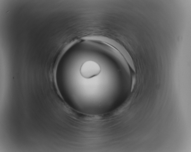 X0000113530576200910021332