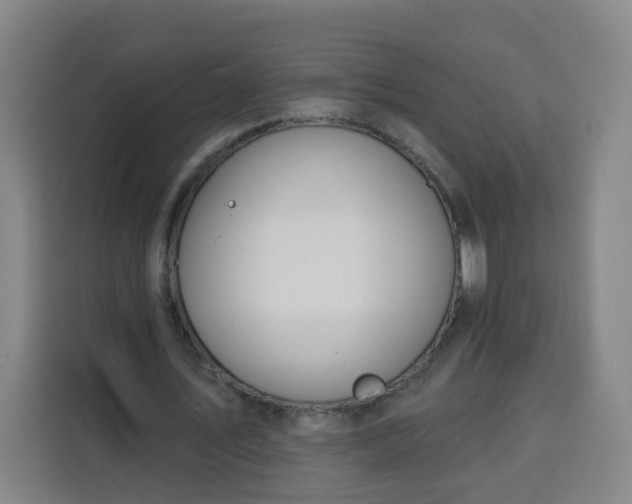 X0000113530579200910021331