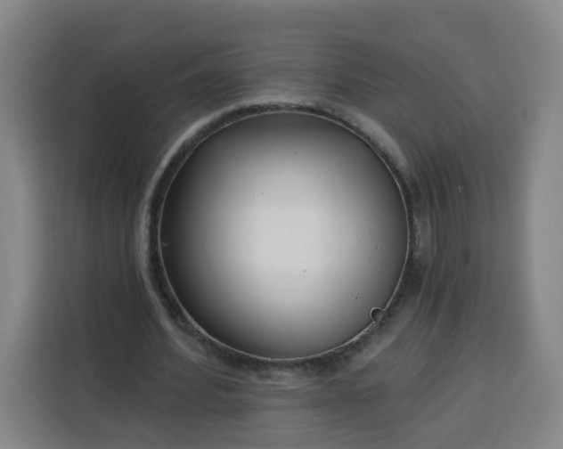 X0000113530580200910021331