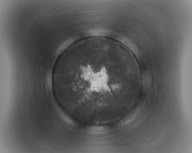 X0000113530581200910021331