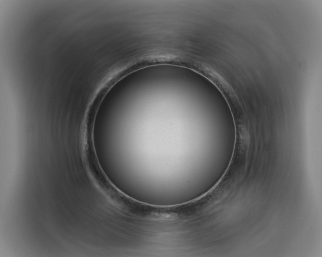 X0000113530582200910021331