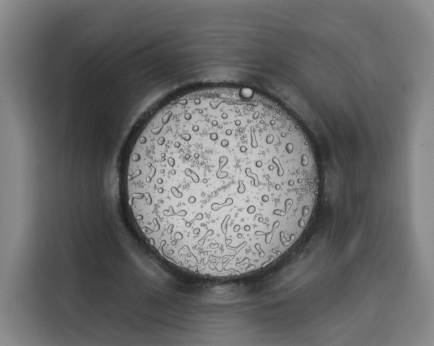 X0000113530584200910021331