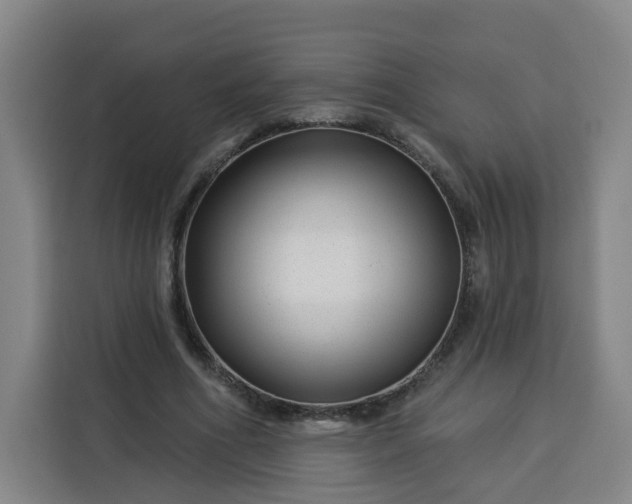 X0000113530586200910021331