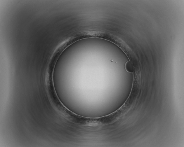 X0000113530587200910021331