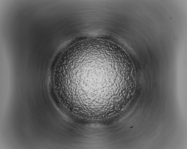 X0000113530590200910021331