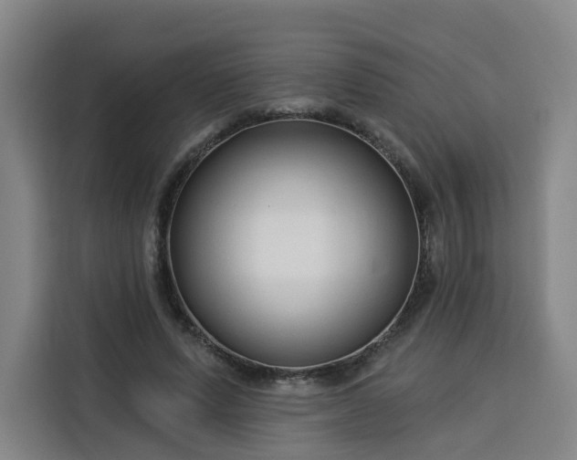 X0000113530591200910021331