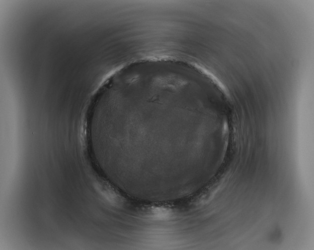 X0000113530592200910021331