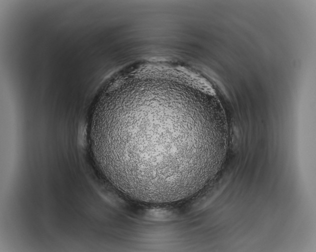 X0000113530596200910021331