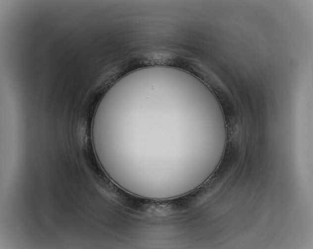 X0000113530599200910021331