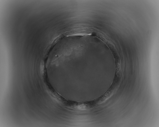 X0000113530600200910021331