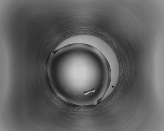 X0000113530601200910021331