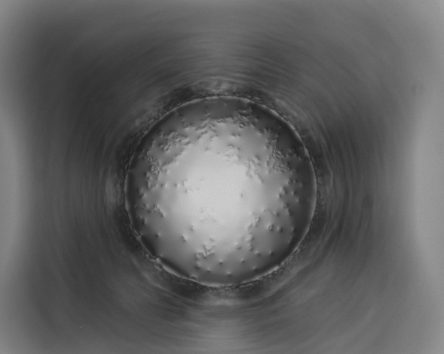 X0000113530606200910021331