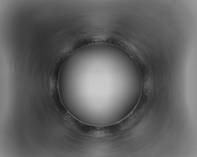 X0000113530608200910021331